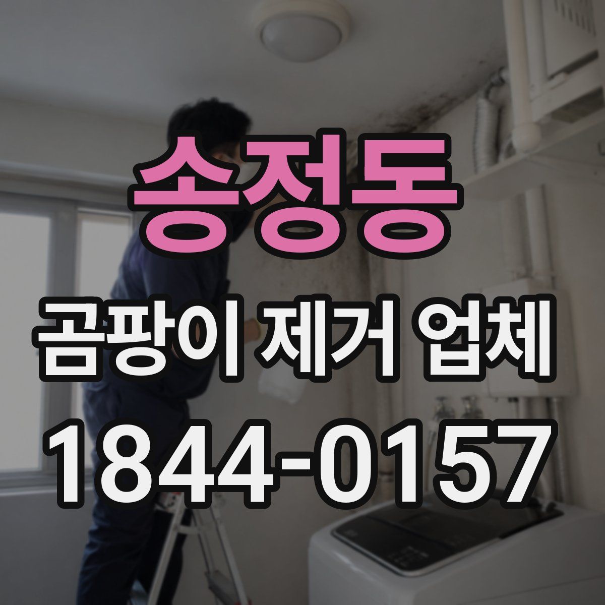 송정동 곰팡이 제거 업체