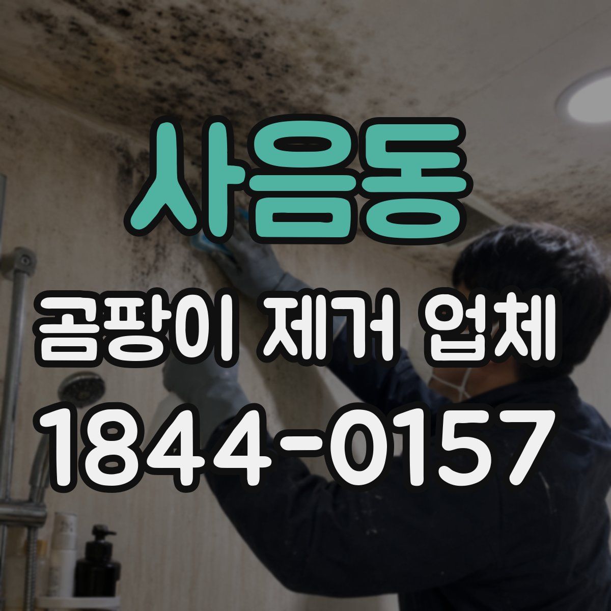 사음동 곰팡이 제거 업체