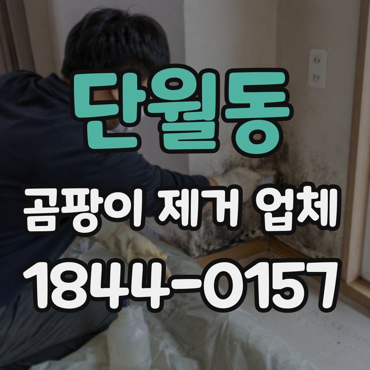 단월동 곰팡이 제거 업체