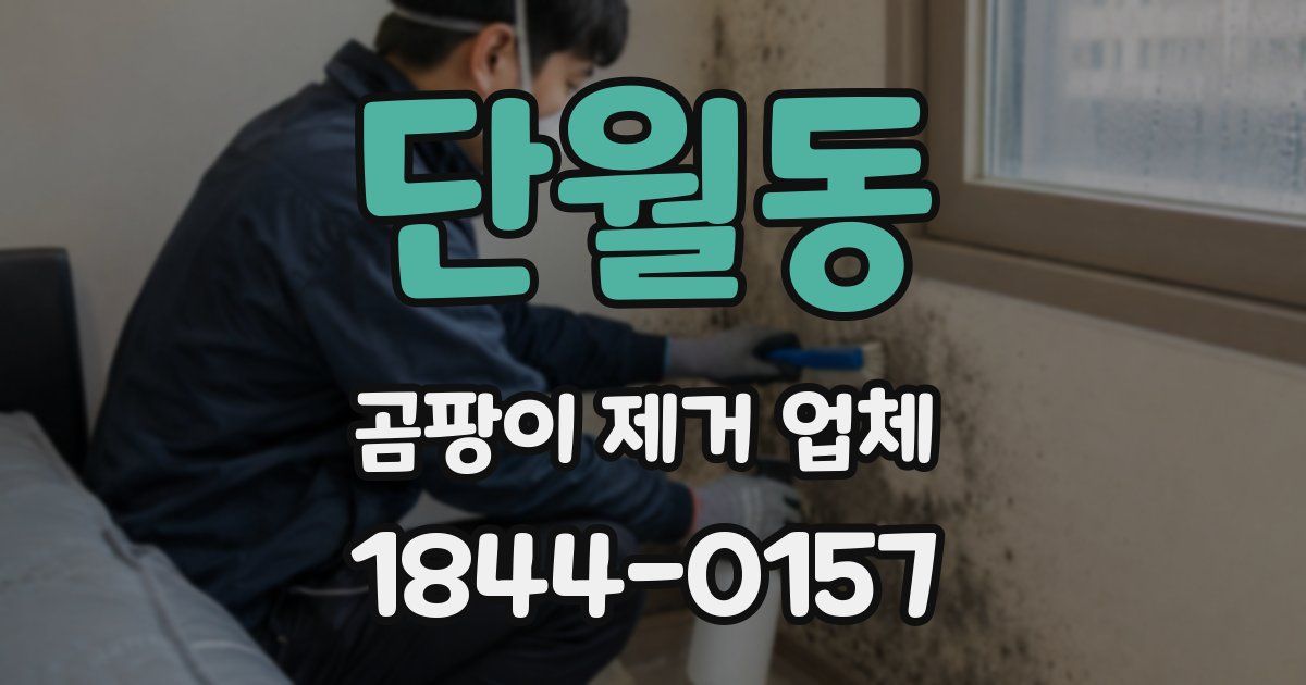 단월동 곰팡이 제거 업체
