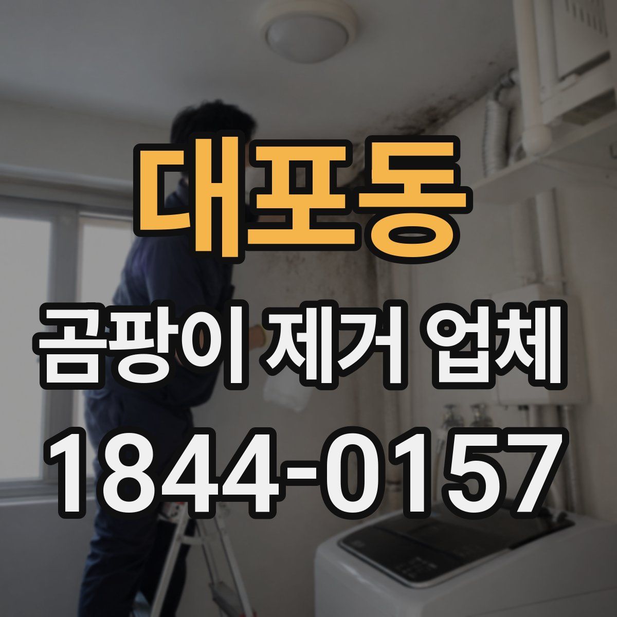 대포동 곰팡이 제거 업체