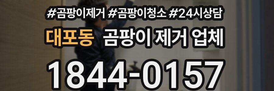 대포동 곰팡이 제거 업체