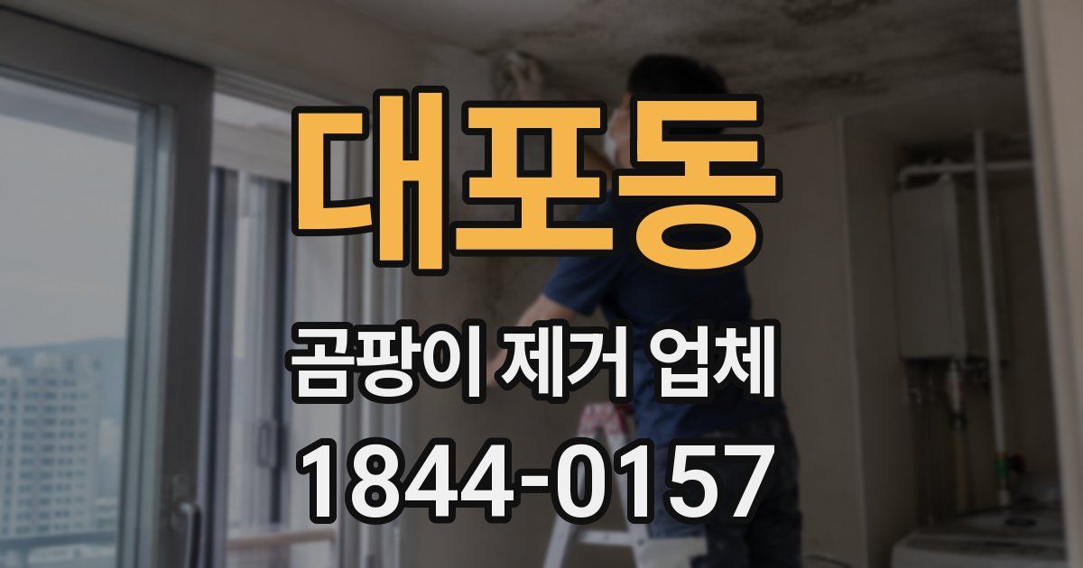 대포동 곰팡이 제거 업체