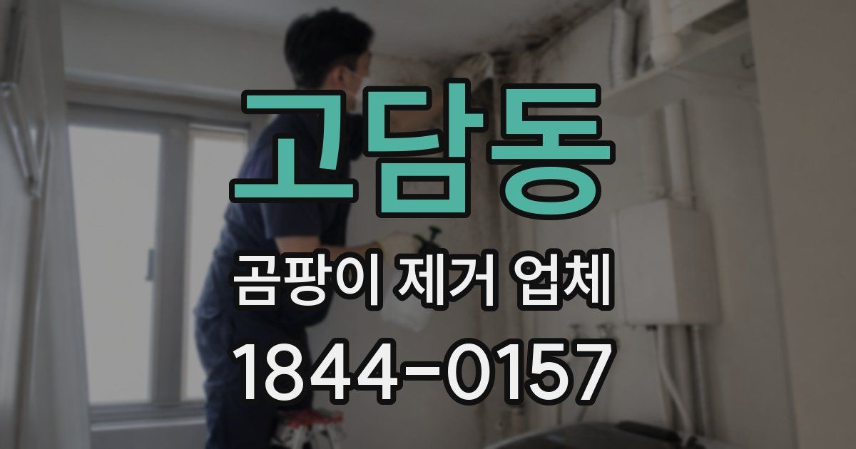 고담동 곰팡이 제거 업체