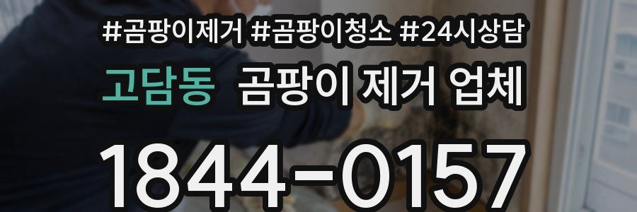 고담동 곰팡이 제거 업체