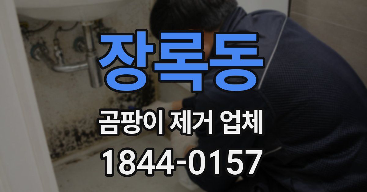 장록동 곰팡이 제거 업체