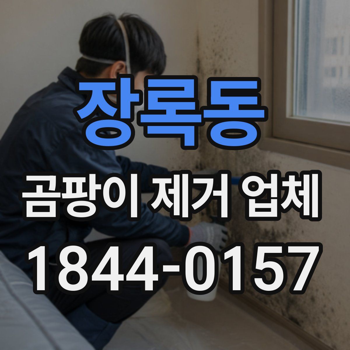 장록동 곰팡이 제거 업체