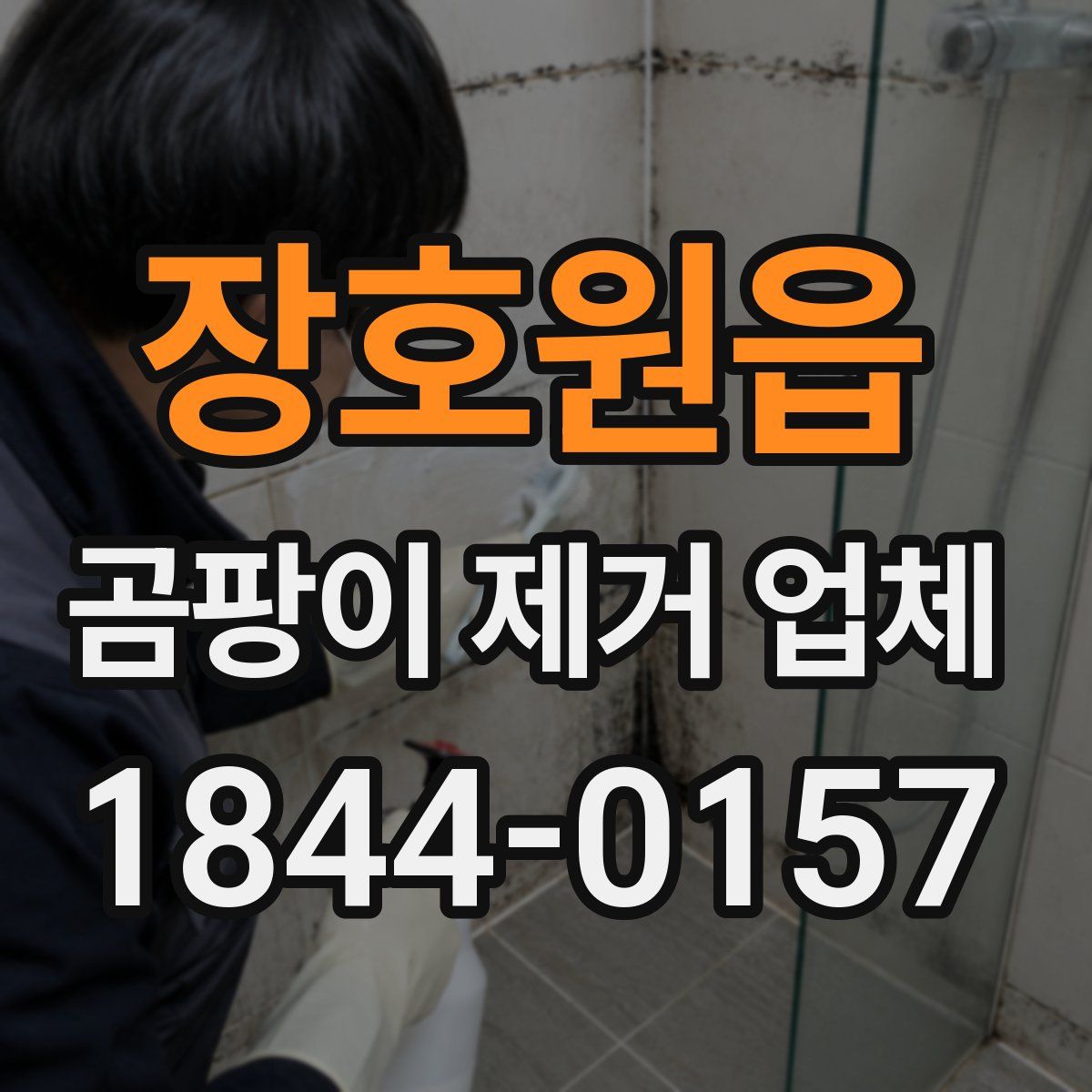 장호원읍 곰팡이 제거 업체