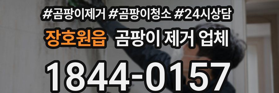 장호원읍 곰팡이 제거 업체