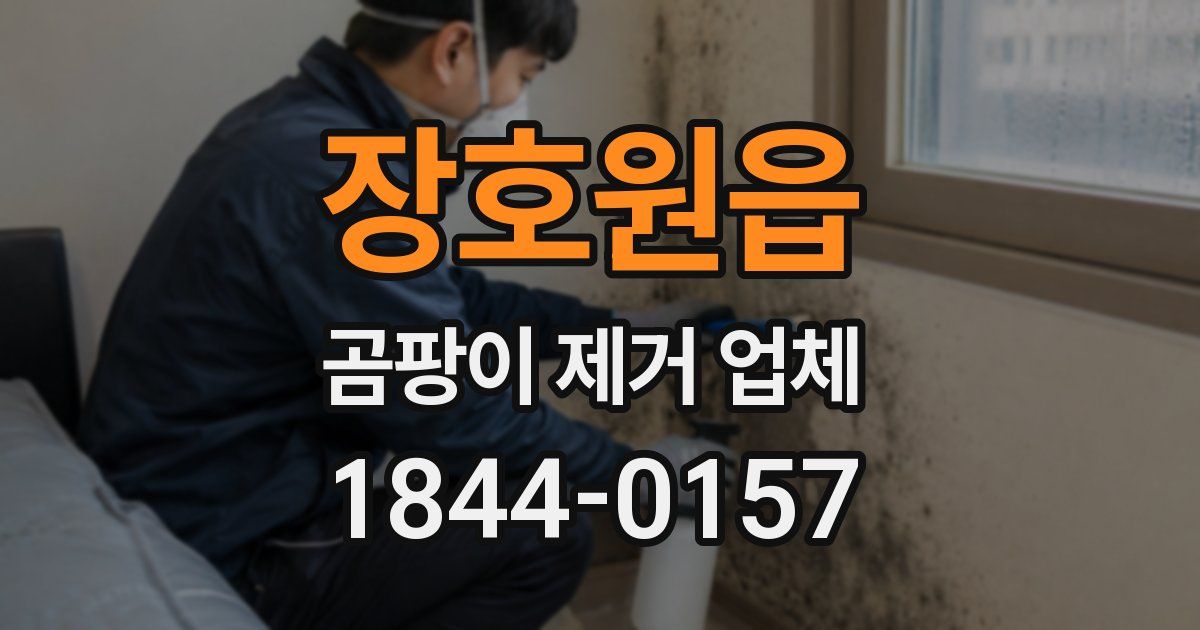 장호원읍 곰팡이 제거 업체