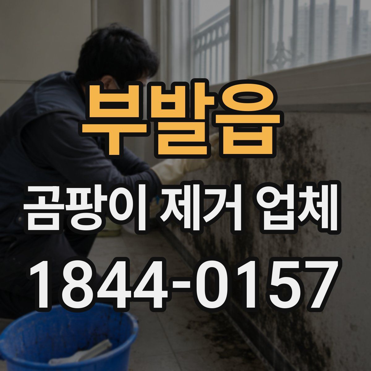 부발읍 곰팡이 제거 업체