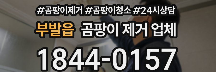 부발읍 곰팡이 제거 업체