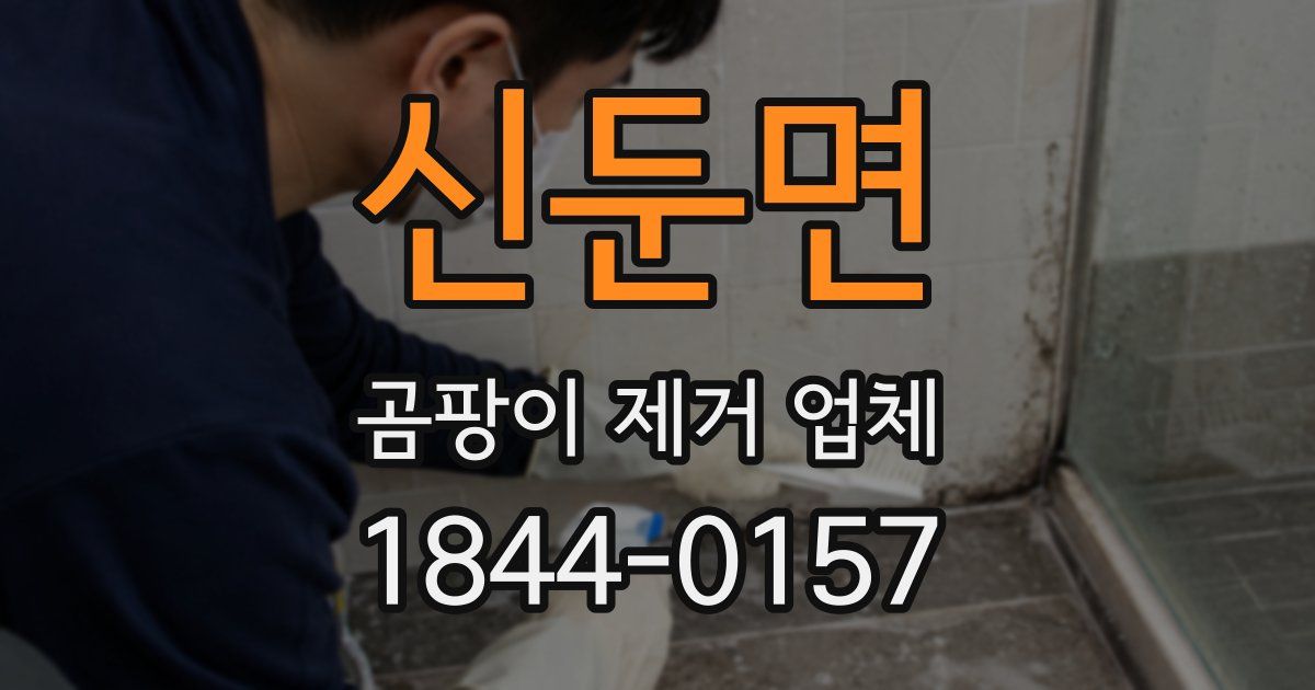 신둔면 곰팡이 제거 업체