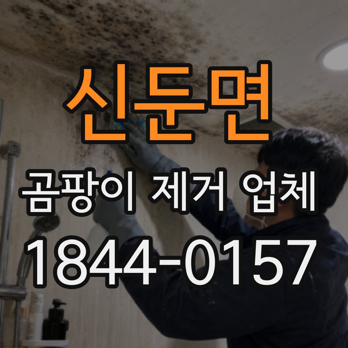 신둔면 곰팡이 제거 업체