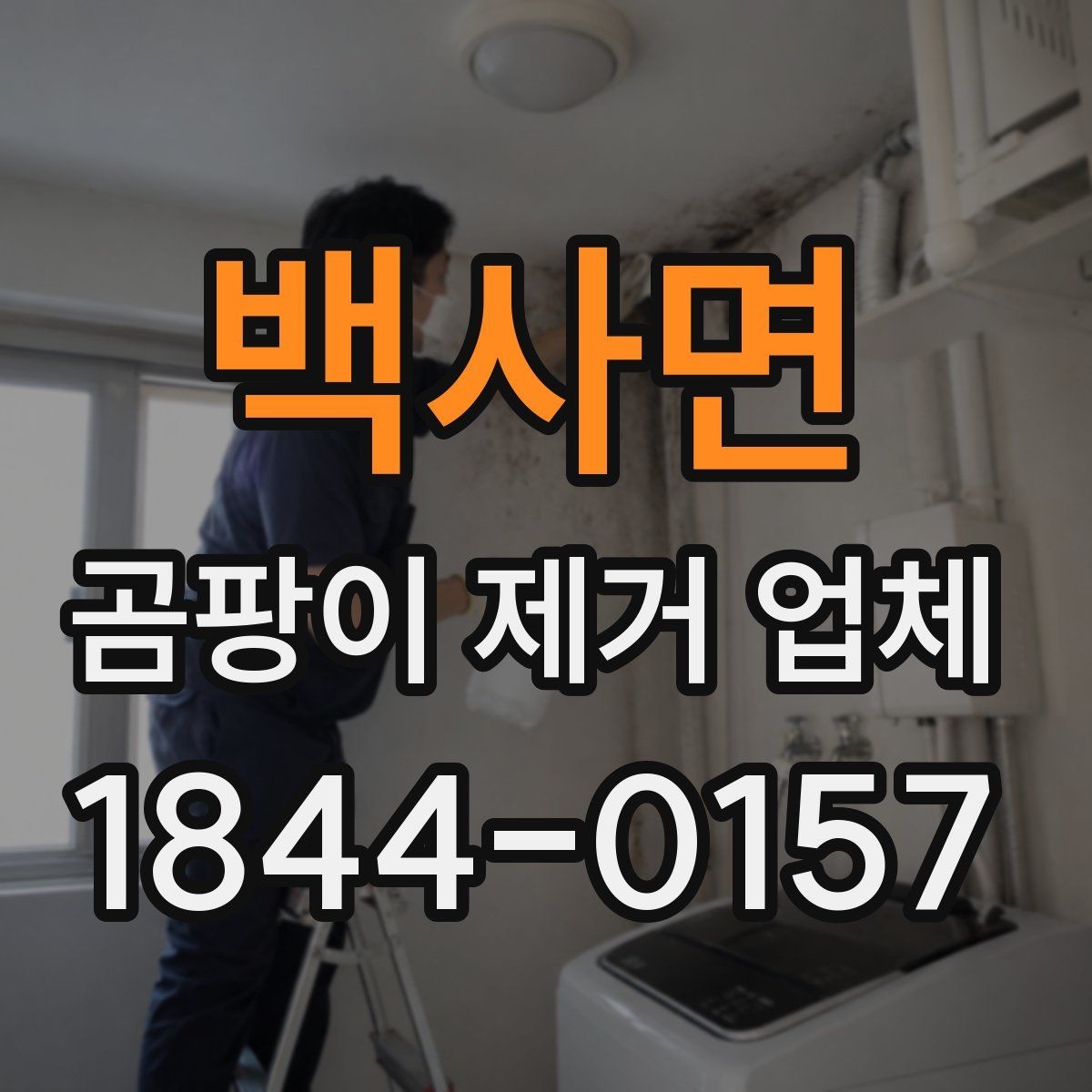 백사면 곰팡이 제거 업체 천장 변색과 곰팡이를 구분하는 확인법