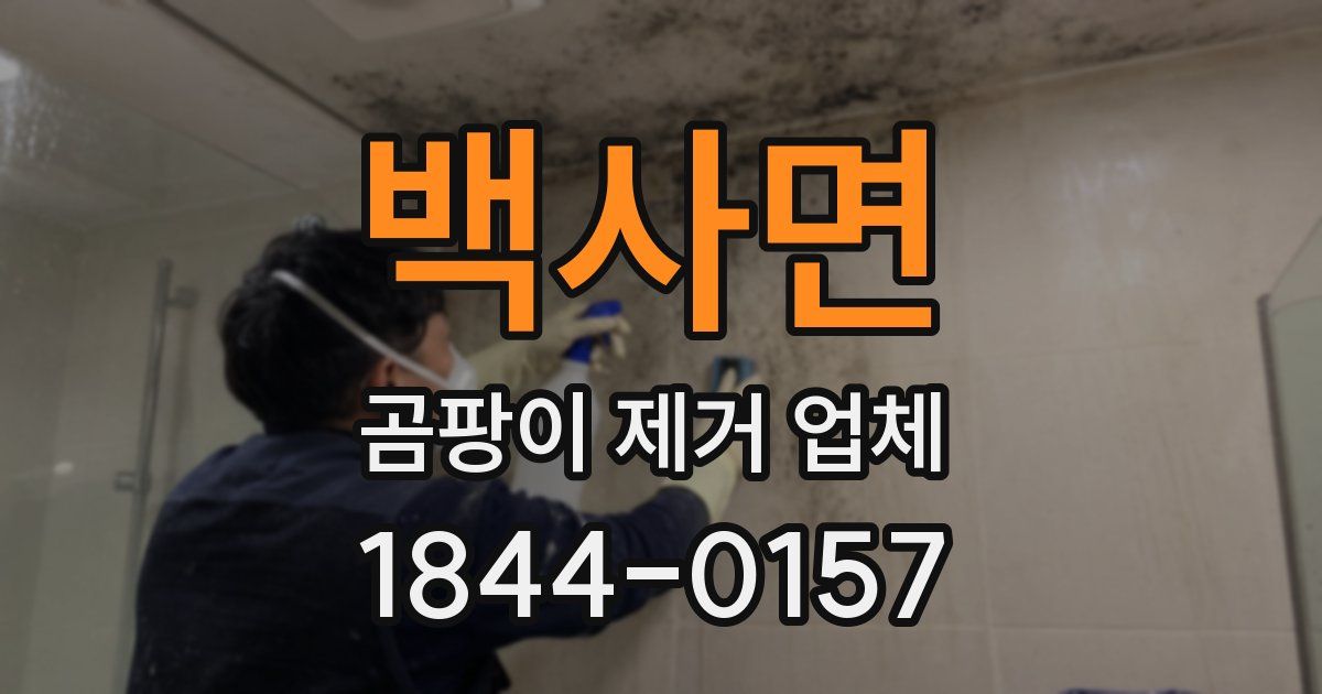 백사면 곰팡이 제거 업체