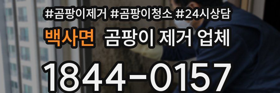 백사면 곰팡이 제거 업체