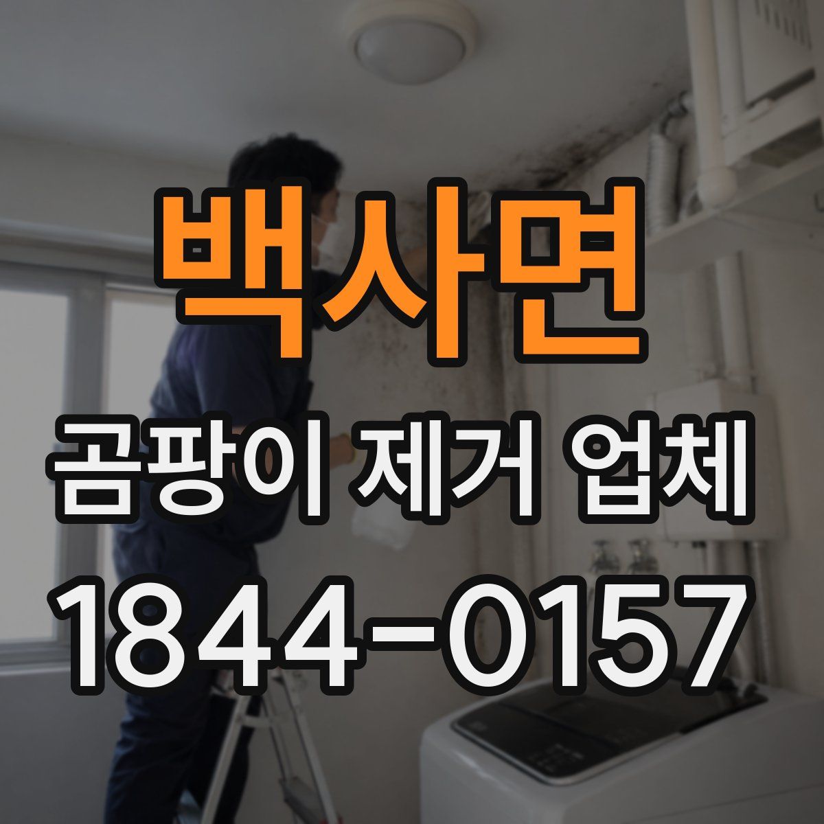 백사면 곰팡이 제거 업체