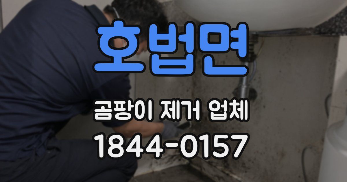 호법면 곰팡이 제거 업체