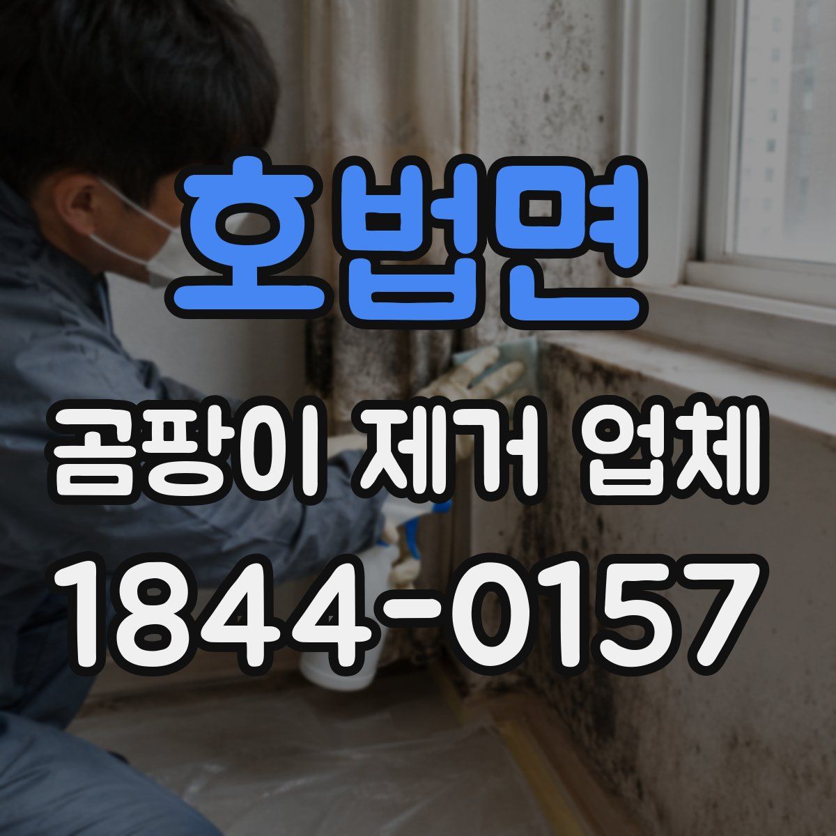 호법면 곰팡이 제거 업체