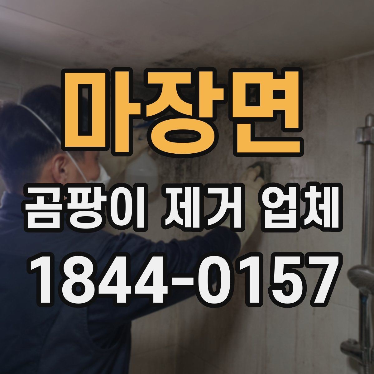 마장면 곰팡이 제거 업체 세대별 오염 확산 경로를 살피는 방법