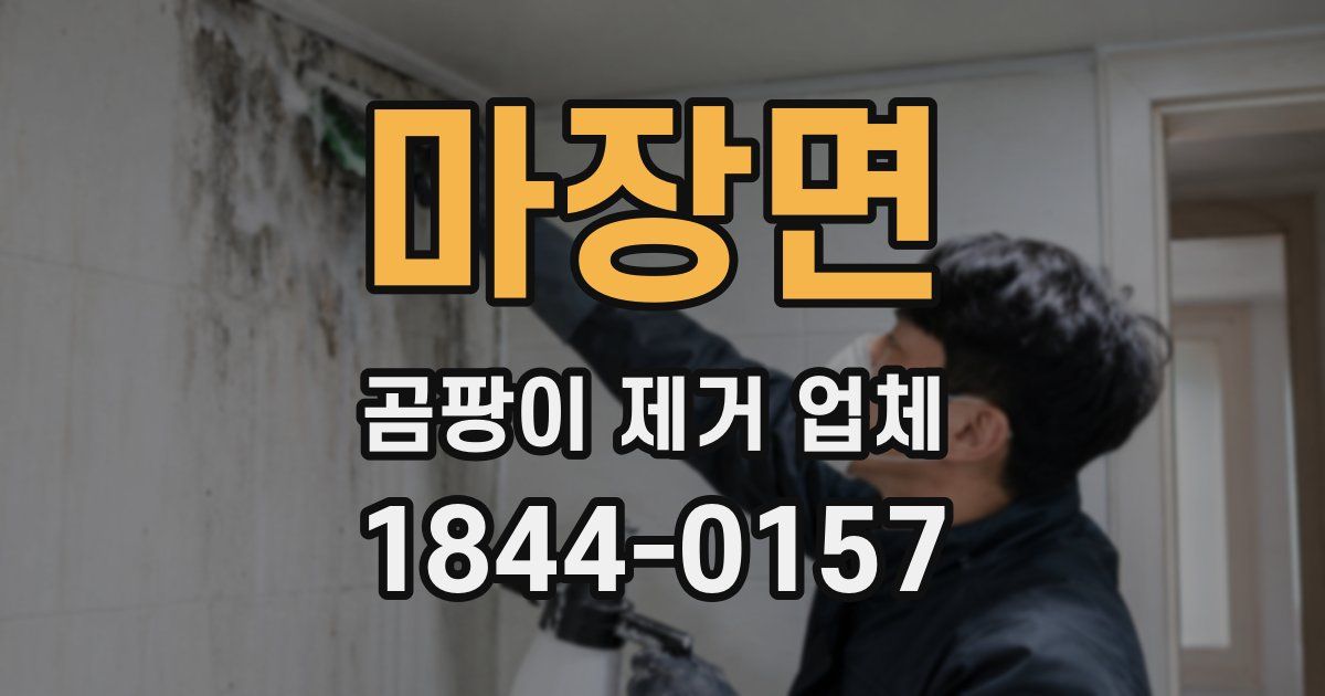 마장면 곰팡이 제거 업체