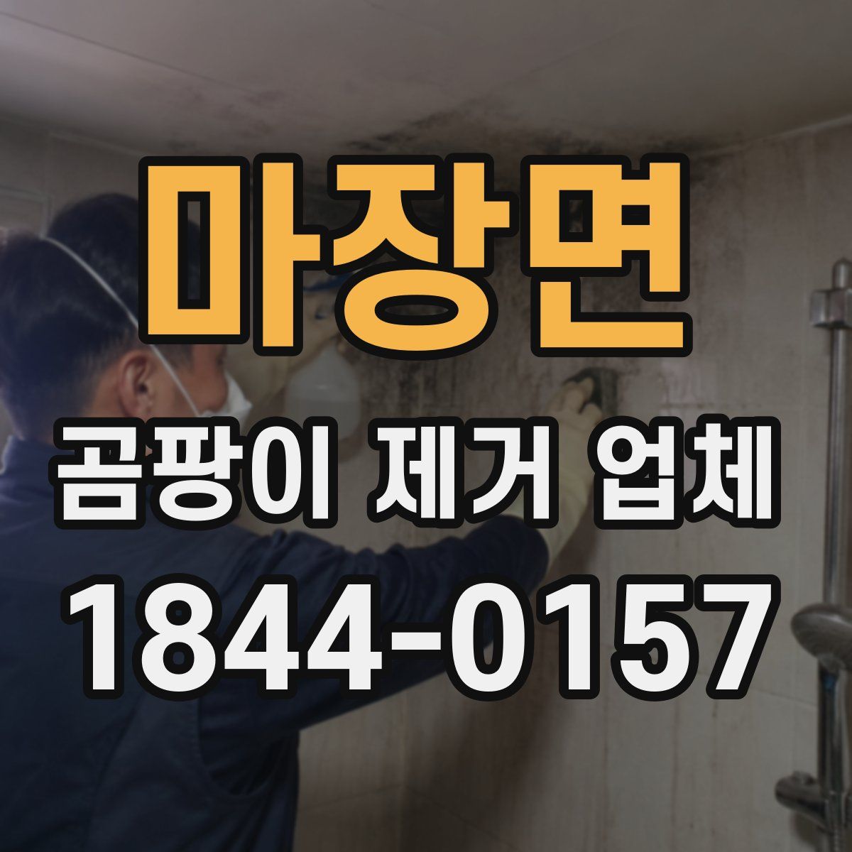 마장면 곰팡이 제거 업체