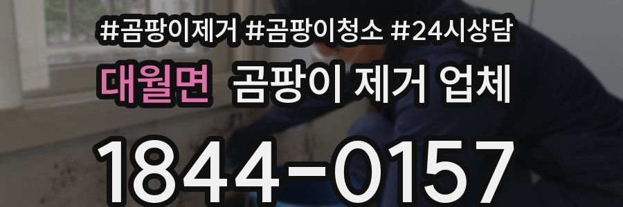 대월면 곰팡이 제거 업체