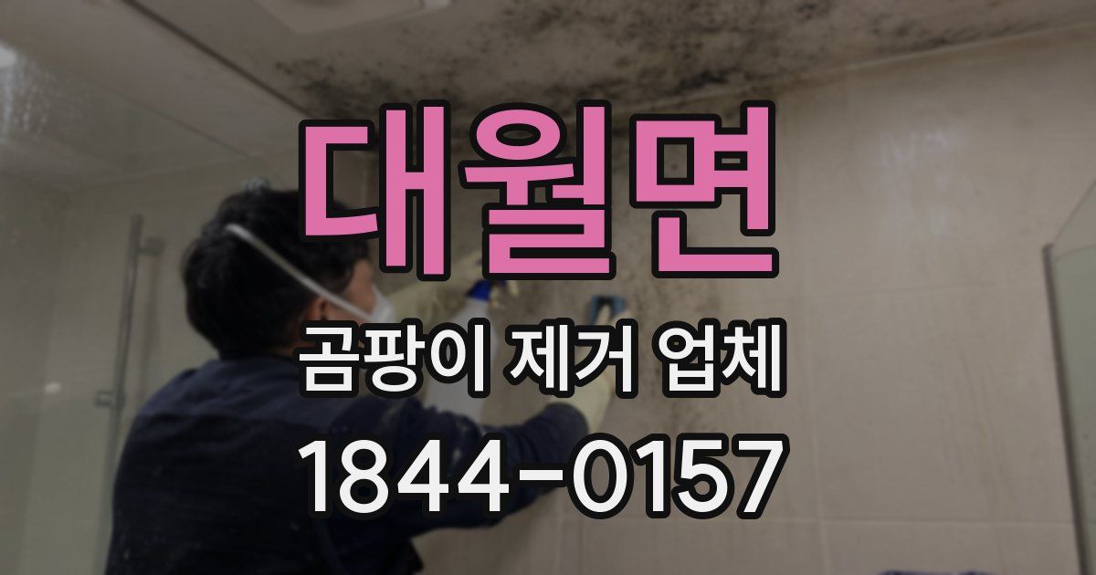 대월면 곰팡이 제거 업체
