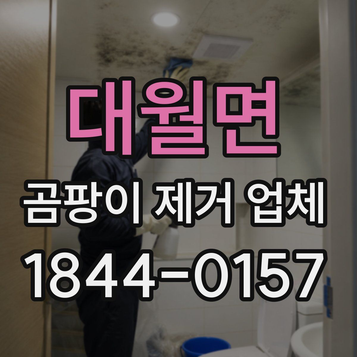 대월면 곰팡이 제거 업체