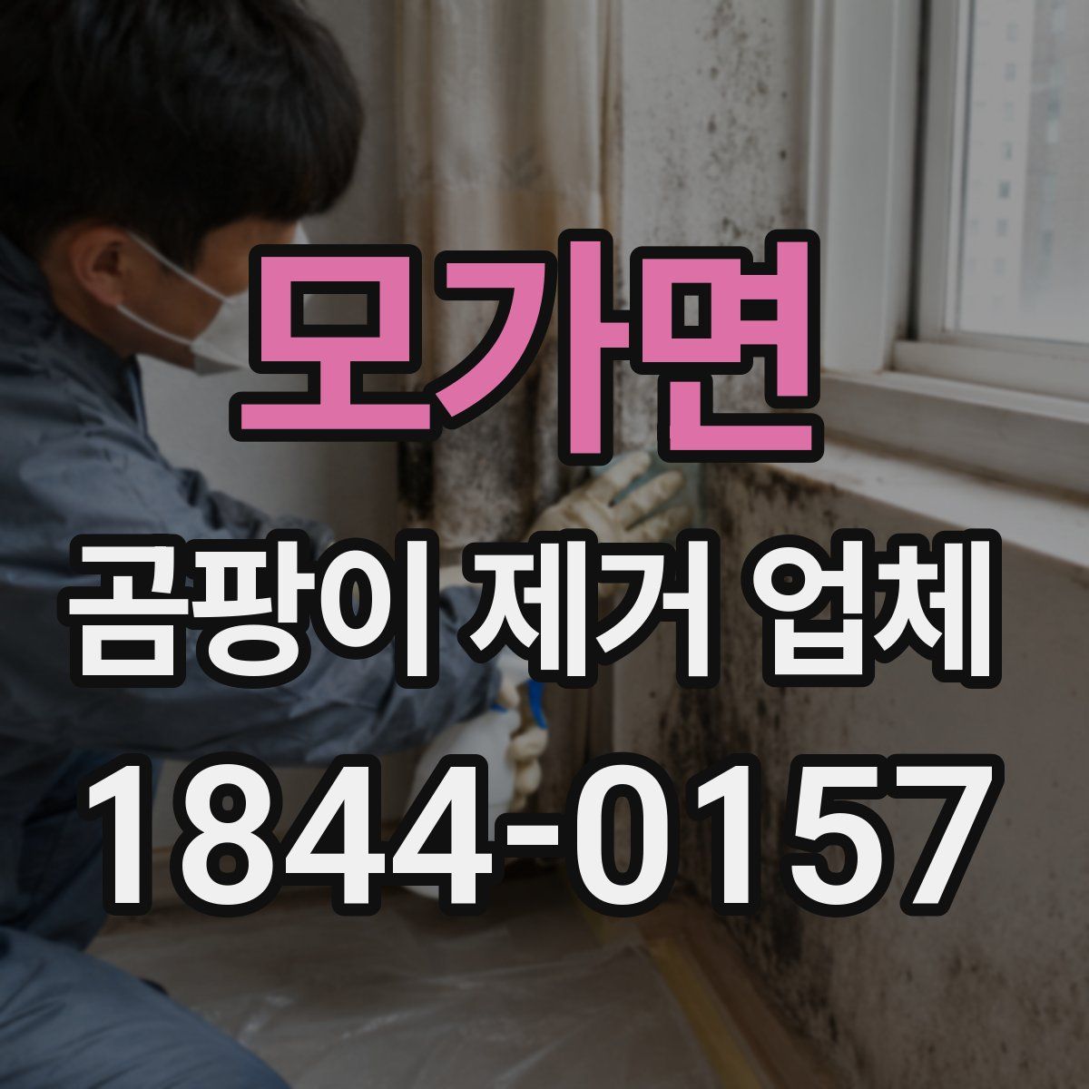 모가면 곰팡이 제거 업체