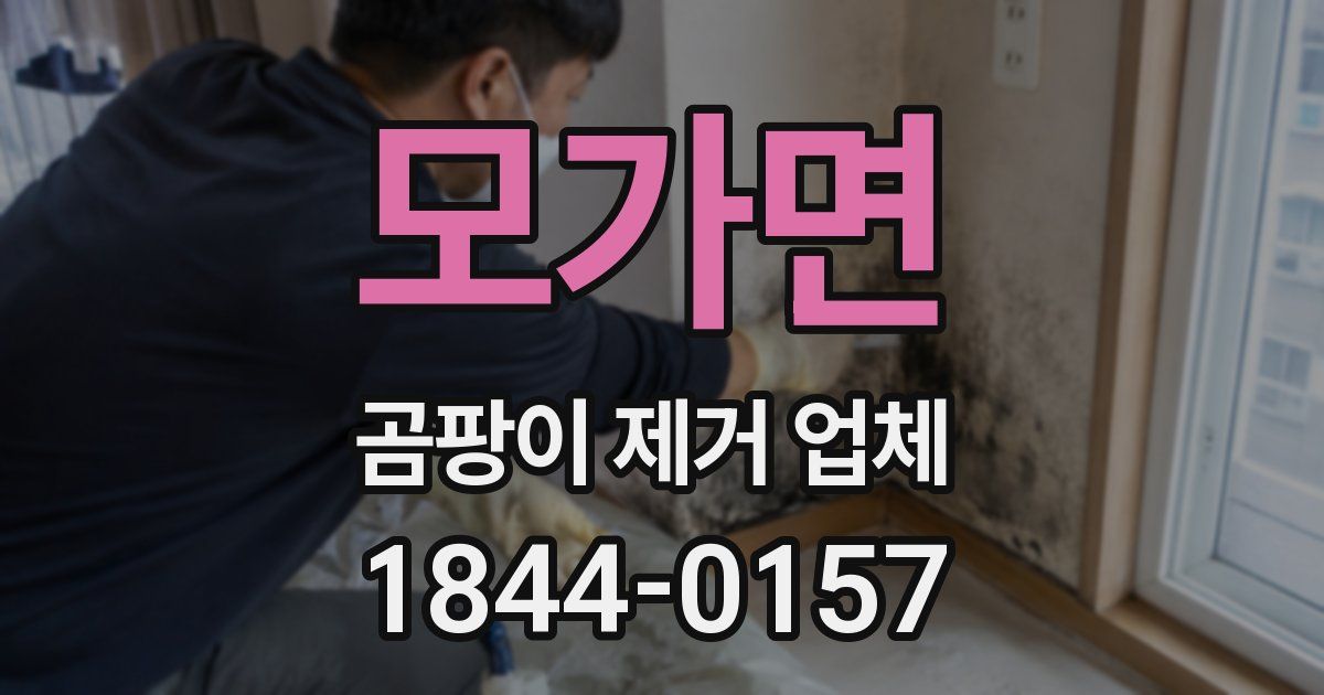 모가면 곰팡이 제거 업체