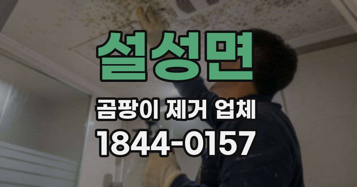 설성면 곰팡이 제거 업체