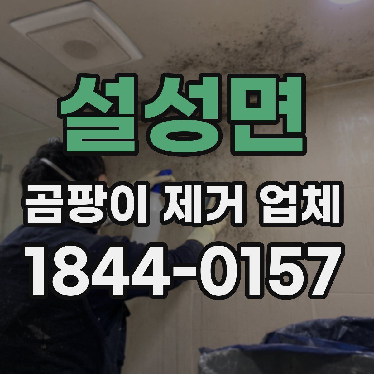 설성면 곰팡이 제거 업체