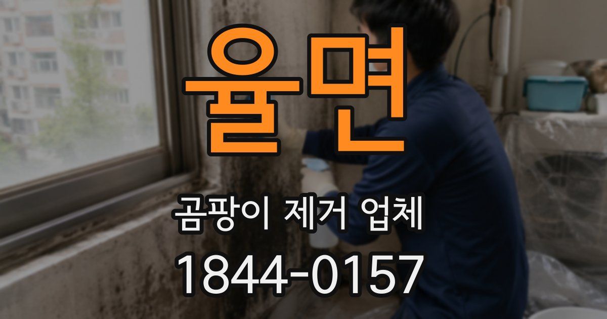 율면 곰팡이 제거 업체