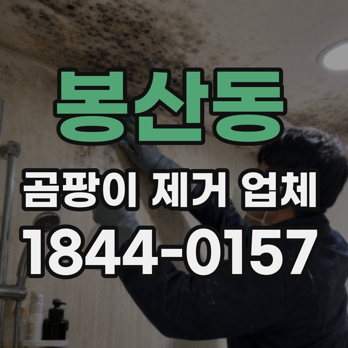 봉산동 곰팡이 제거 업체 누수·결로·곰팡이 현장을 구분하는 실무 팁