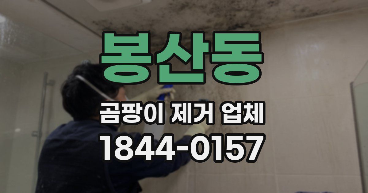 봉산동 곰팡이 제거 업체