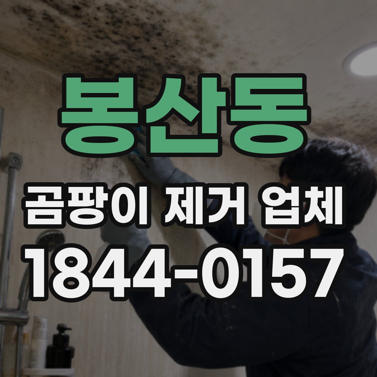 봉산동 곰팡이 제거 업체