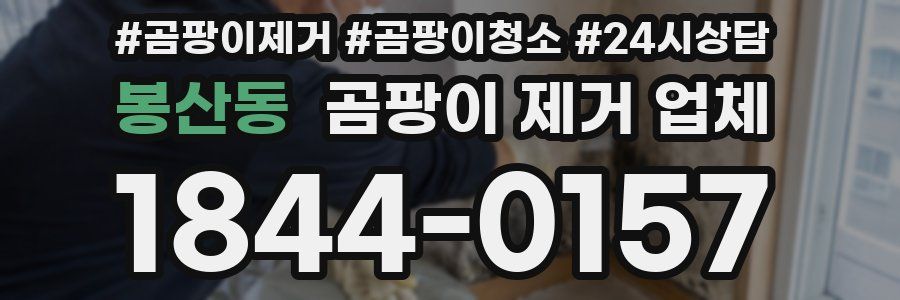 봉산동 곰팡이 제거 업체