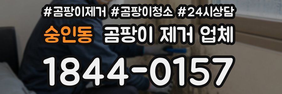 숭인동 곰팡이 제거 업체