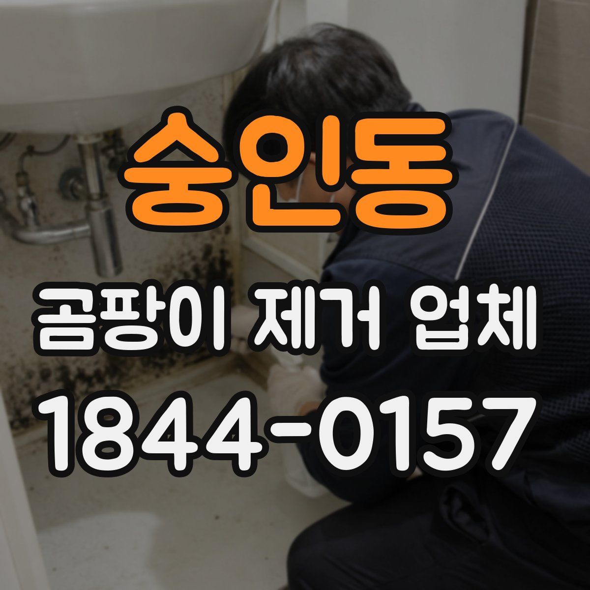 숭인동 곰팡이 제거 업체