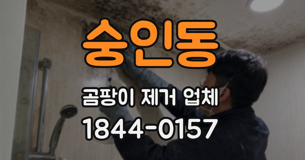 숭인동 곰팡이 제거 업체