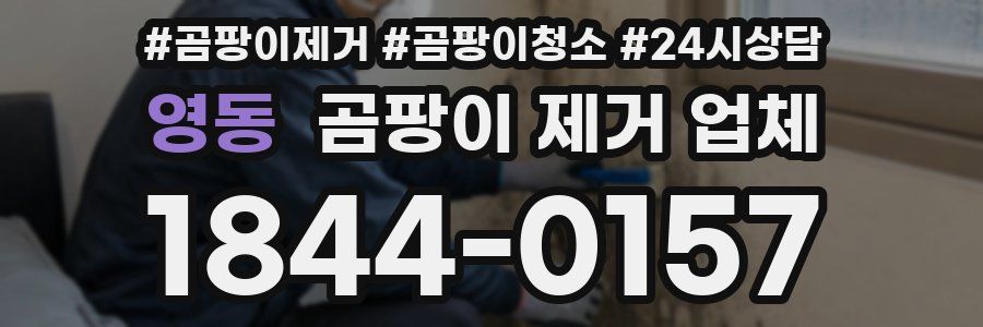 영동 곰팡이 제거 업체