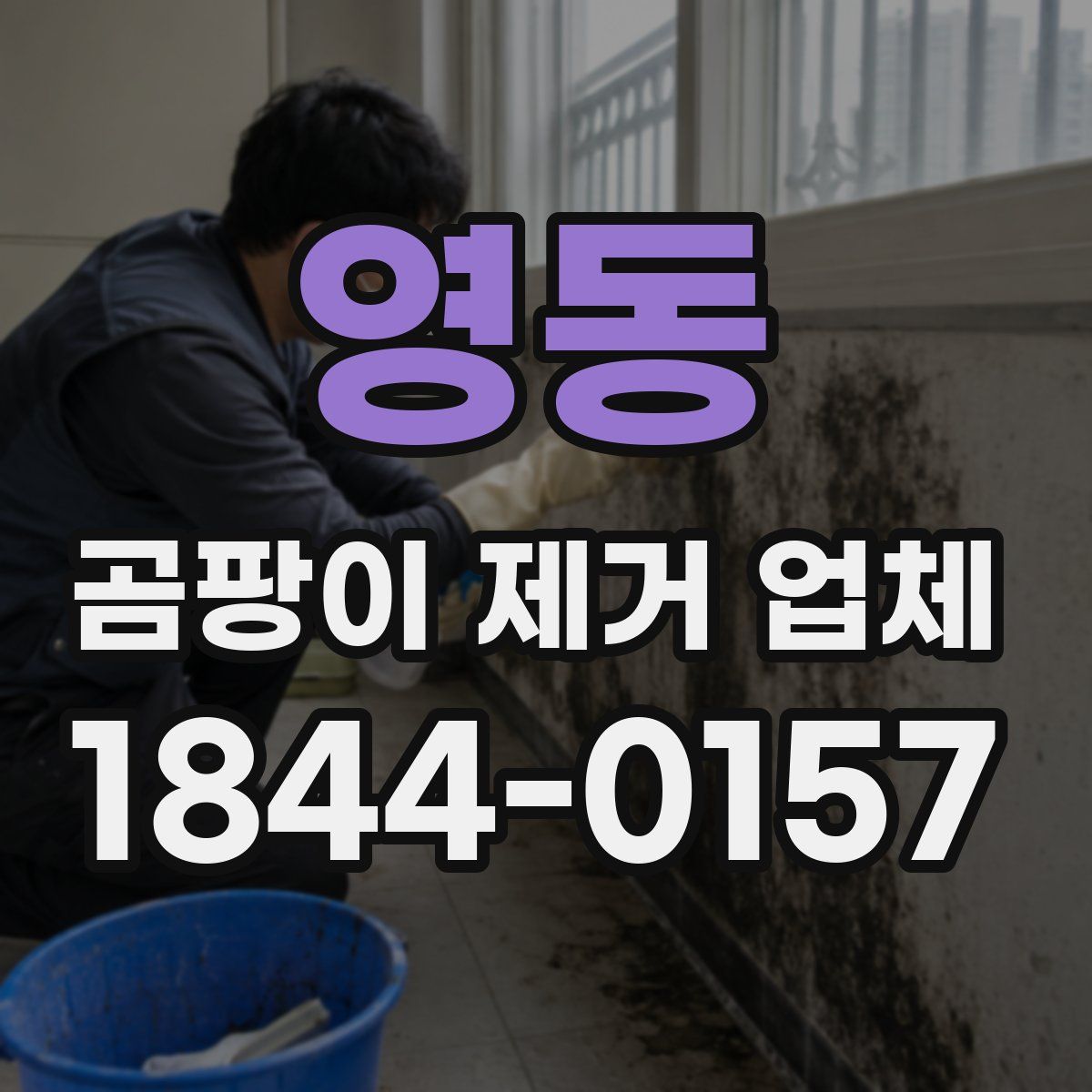 영동 곰팡이 제거 업체