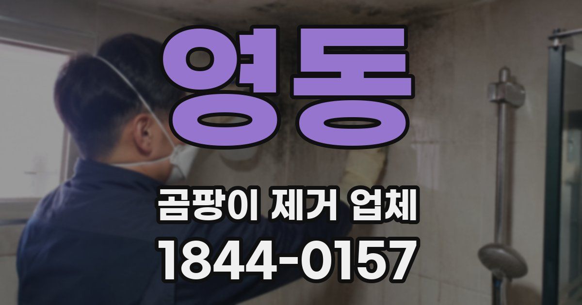 영동 곰팡이 제거 업체