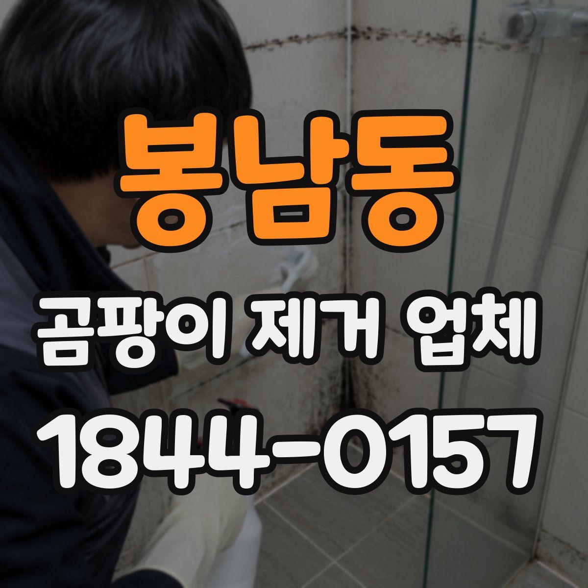 봉남동 곰팡이 제거 업체
