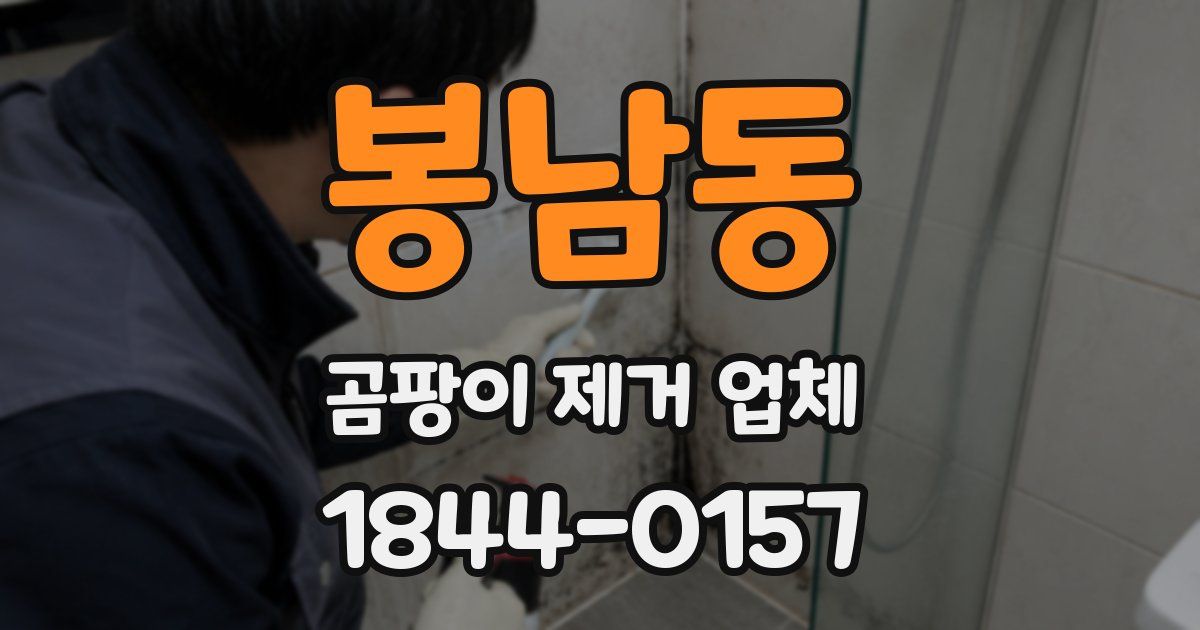 봉남동 곰팡이 제거 업체