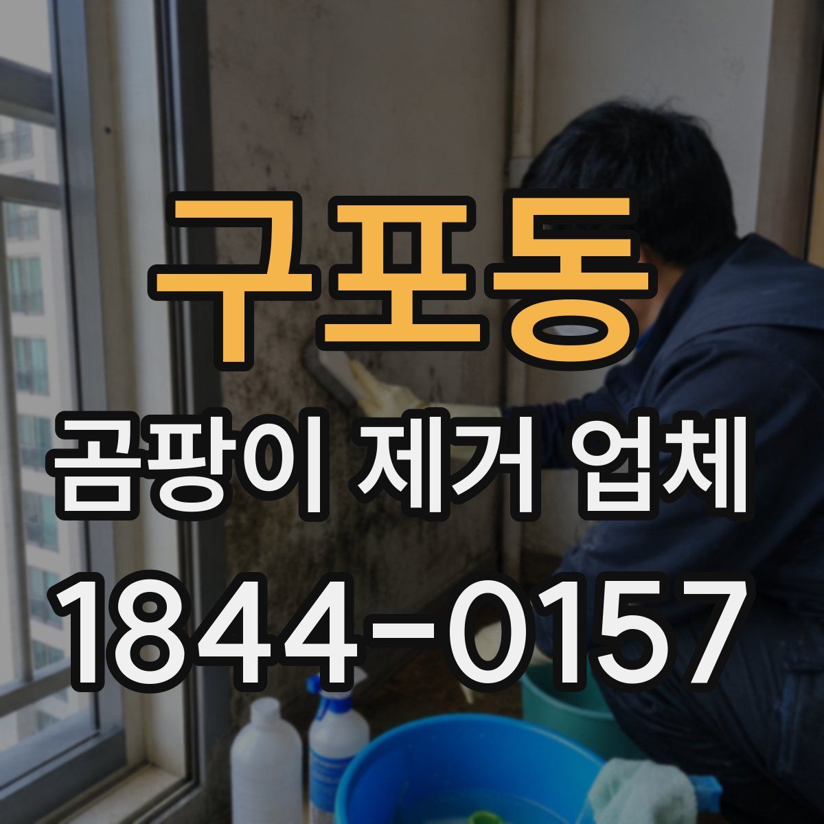 구포동 곰팡이 제거 업체