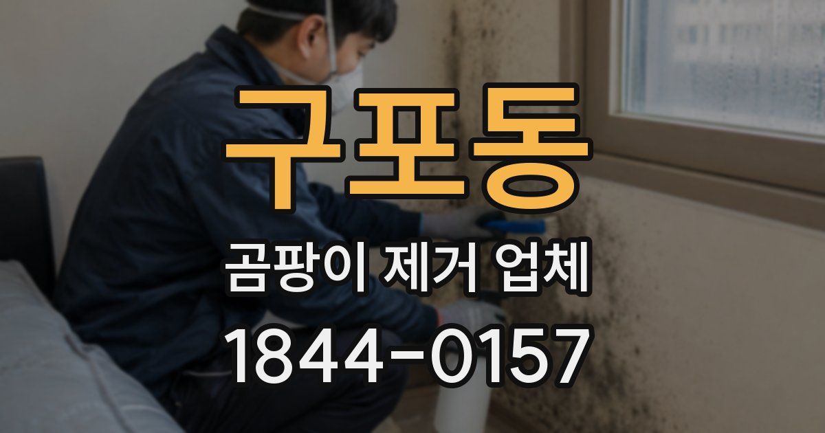 구포동 곰팡이 제거 업체