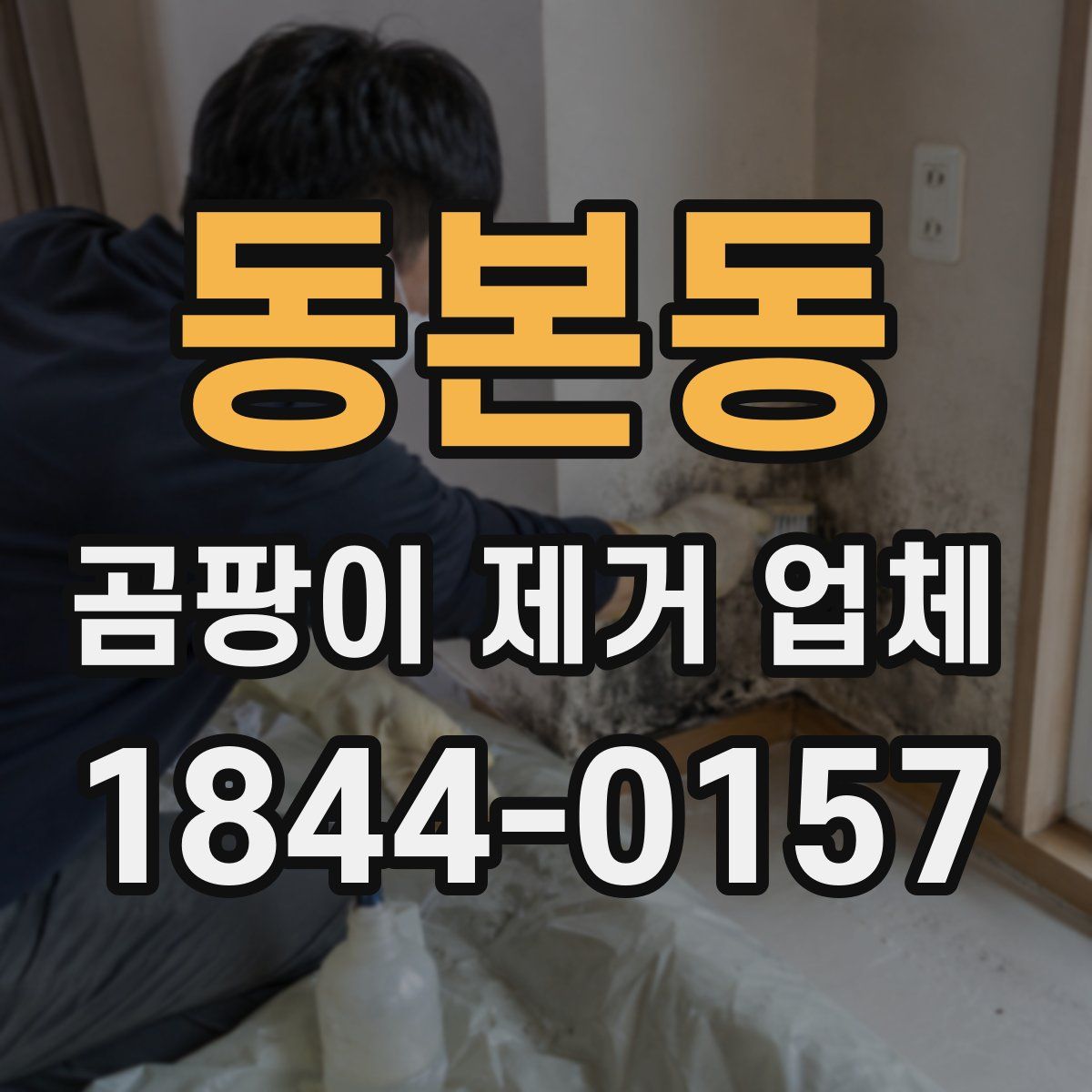 동본동 곰팡이 제거 업체